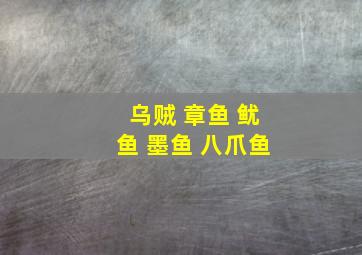 乌贼 章鱼 鱿鱼 墨鱼 八爪鱼